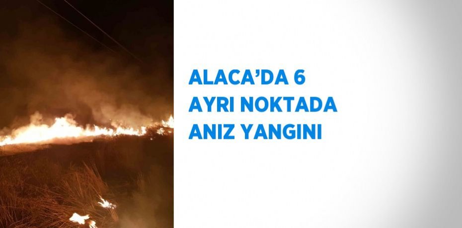 ALACA’DA 6 AYRI NOKTADA ANIZ YANGINI