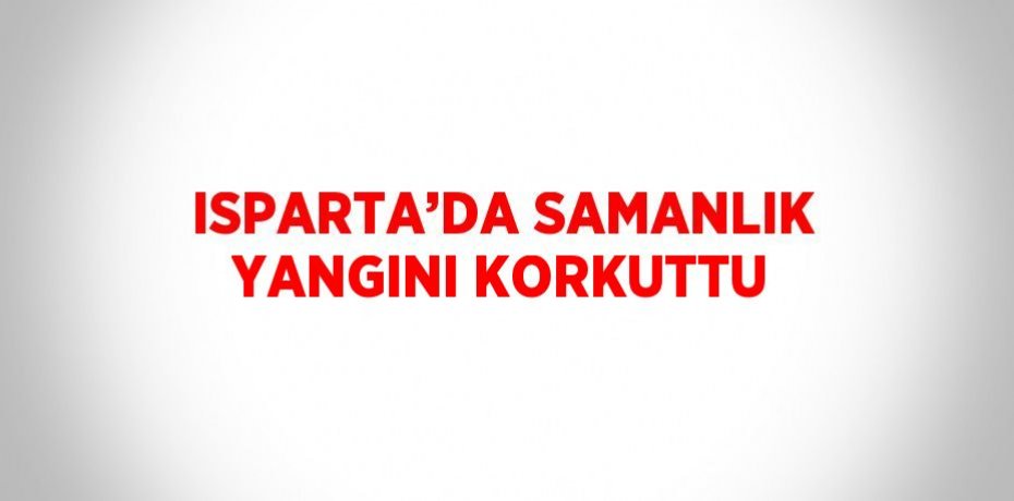 ISPARTA’DA SAMANLIK YANGINI KORKUTTU