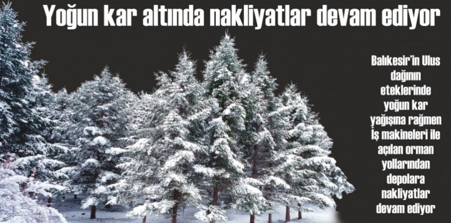 Yoğun kar altında nakliyatlar devam ediyor