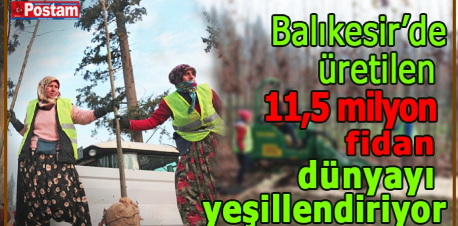 Balıkesir’de  üretilen fidanlar dünyayı yeşillendiriyor