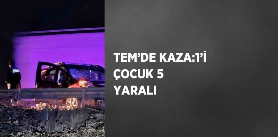 TEM’DE KAZA:1’İ ÇOCUK 5 YARALI