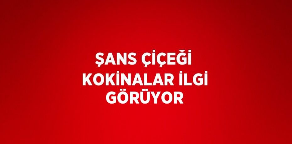 ŞANS ÇİÇEĞİ KOKİNALAR İLGİ GÖRÜYOR