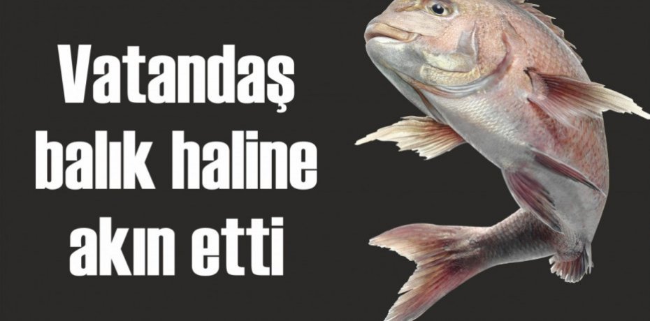 Vatandaş balık haline akın etti