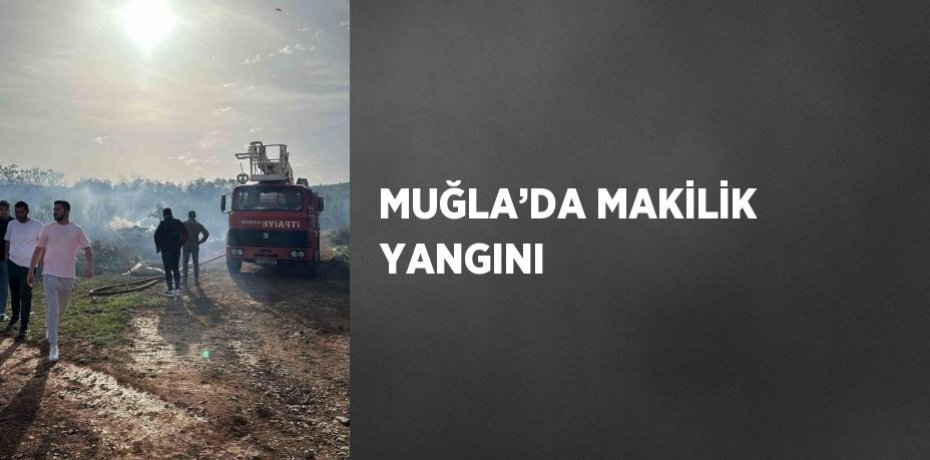 MUĞLA’DA MAKİLİK YANGINI