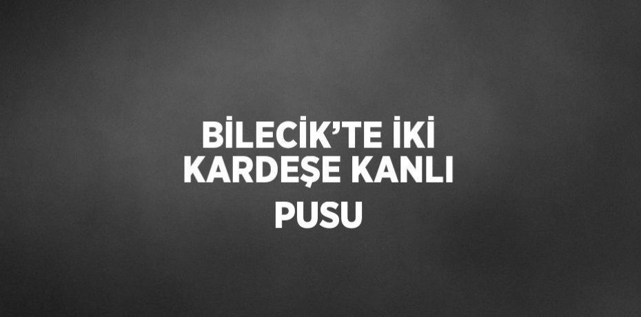 BİLECİK’TE İKİ KARDEŞE KANLI PUSU
