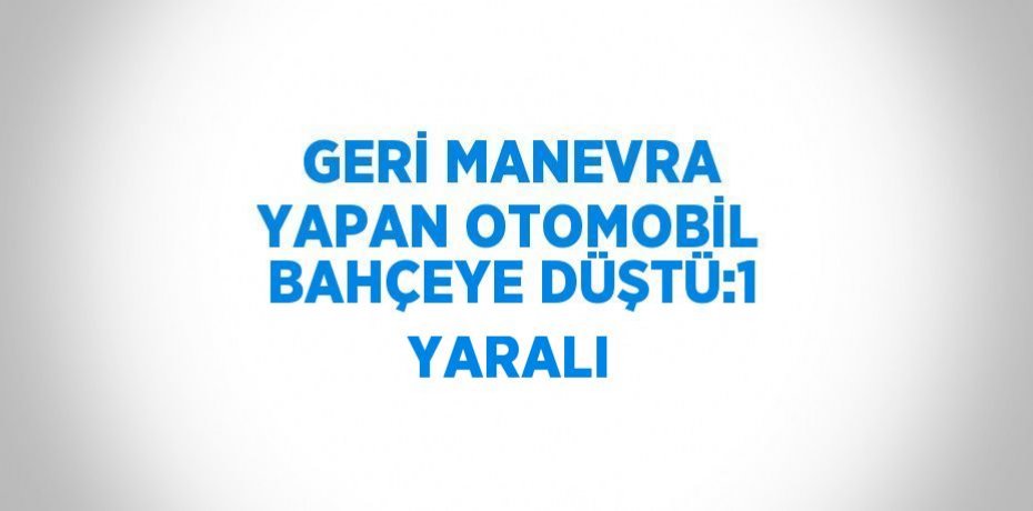 GERİ MANEVRA YAPAN OTOMOBİL BAHÇEYE DÜŞTÜ:1 YARALI