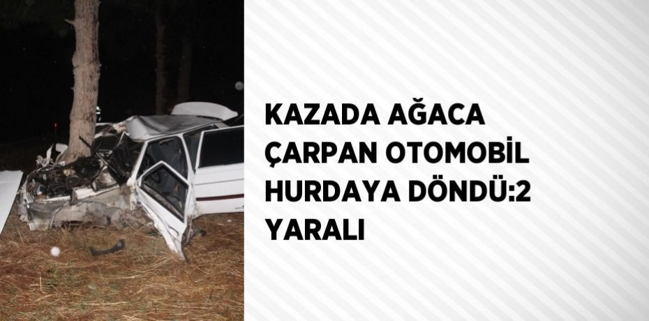 KAZADA AĞACA ÇARPAN OTOMOBİL HURDAYA DÖNDÜ:2 YARALI