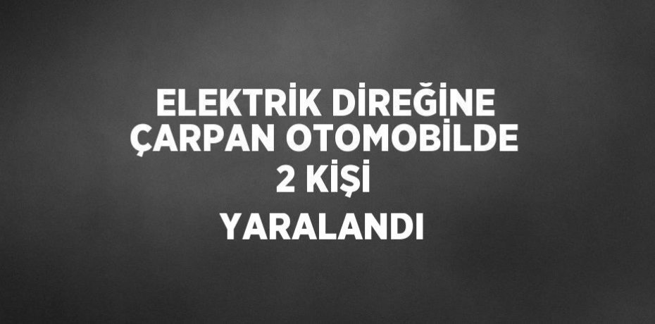 ELEKTRİK DİREĞİNE ÇARPAN OTOMOBİLDE 2 KİŞİ YARALANDI