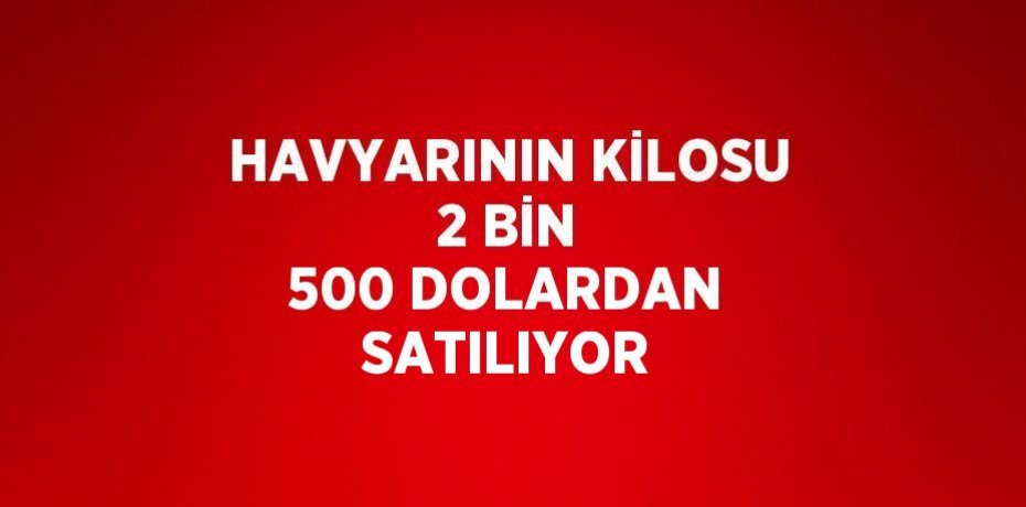 HAVYARININ KİLOSU 2 BİN 500 DOLARDAN SATILIYOR