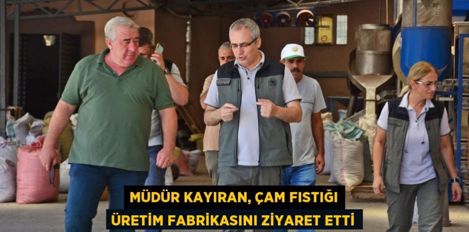 Müdür Kayıran, Çam fıstığı üretim fabrikasını ziyaret etti