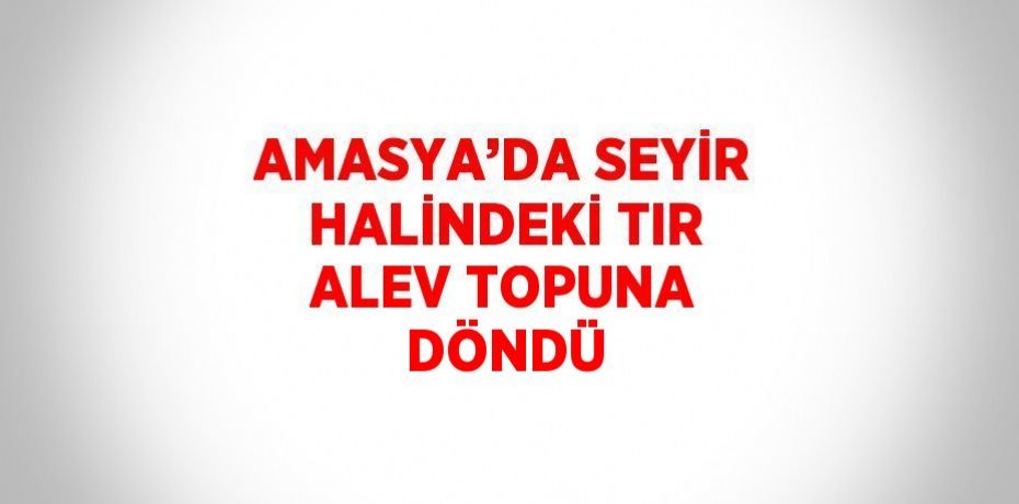 AMASYA’DA SEYİR HALİNDEKİ TIR ALEV TOPUNA DÖNDÜ