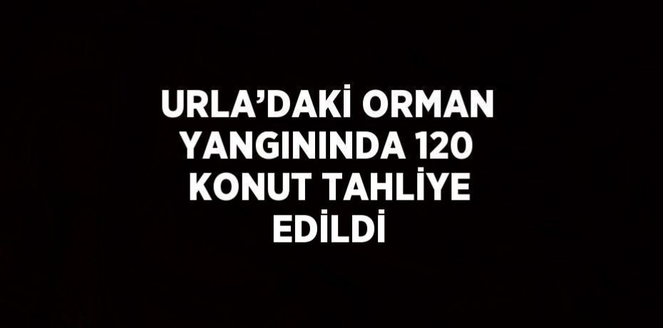 URLA’DAKİ ORMAN YANGININDA 120 KONUT TAHLİYE EDİLDİ