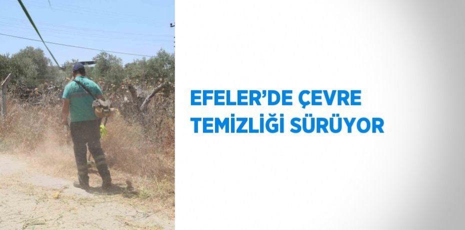 EFELER’DE ÇEVRE TEMİZLİĞİ SÜRÜYOR