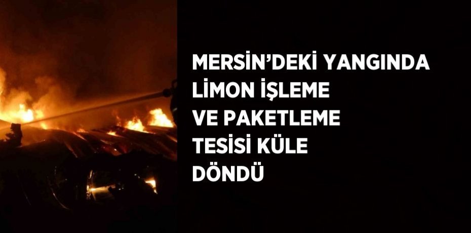 MERSİN’DEKİ YANGINDA LİMON İŞLEME VE PAKETLEME TESİSİ KÜLE DÖNDÜ