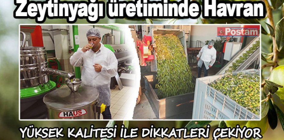 Havran'da 0.3 asit zeytinyağları dikkatleri çekiyor