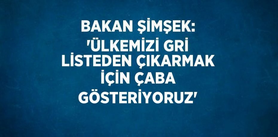 BAKAN ŞİMŞEK: 'ÜLKEMİZİ GRİ LİSTEDEN ÇIKARMAK İÇİN ÇABA GÖSTERİYORUZ'