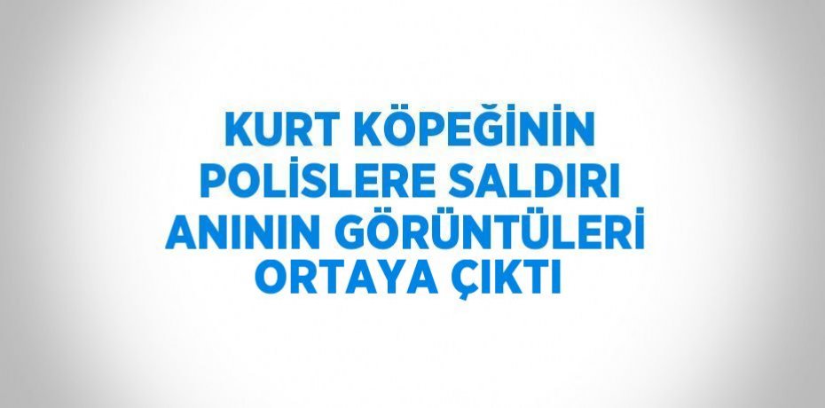 KURT KÖPEĞİNİN POLİSLERE SALDIRI ANININ GÖRÜNTÜLERİ ORTAYA ÇIKTI