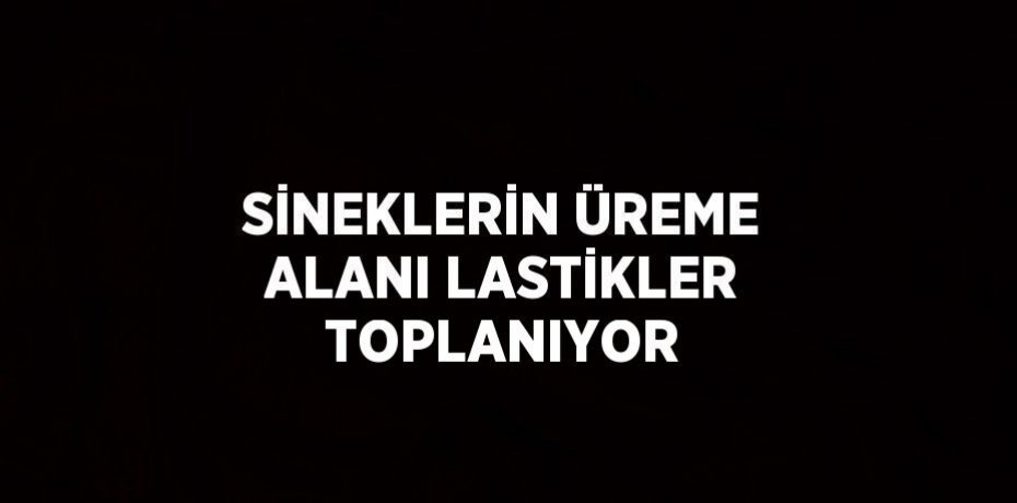 SİNEKLERİN ÜREME ALANI LASTİKLER TOPLANIYOR